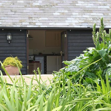 Five Cottages In Aonb Ashford  Exterior photo